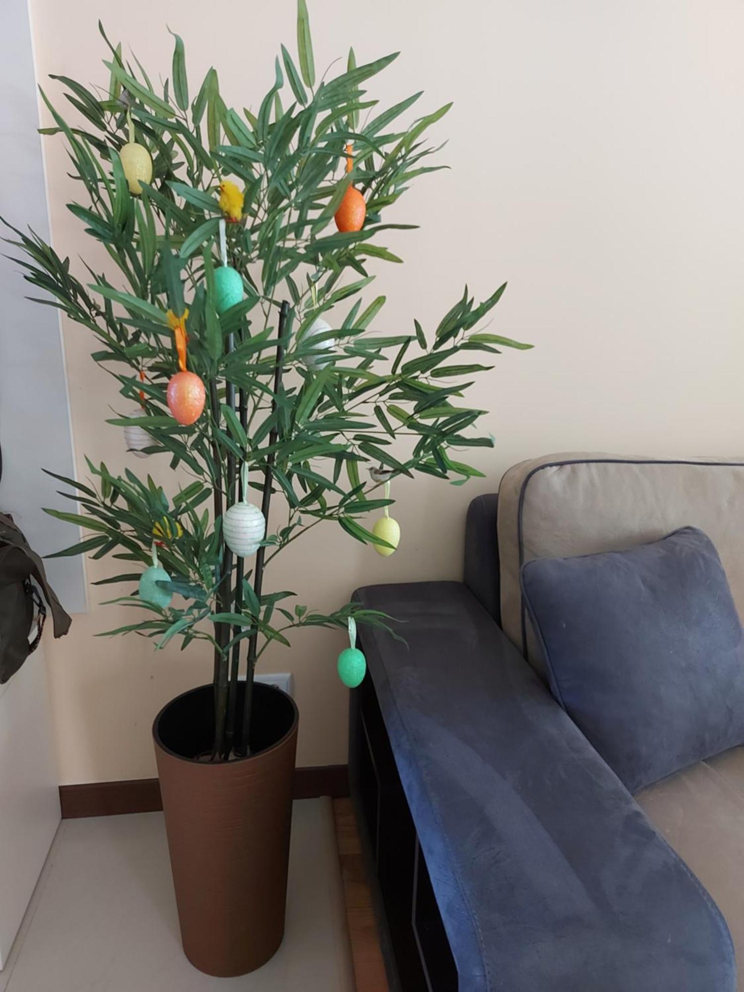 Apartament Terra Complex -d6 - Balkan Private Apartment-spa Sking Golf And Relax Bansko